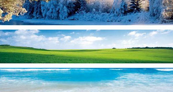 Campagna pubblicitaria 2011